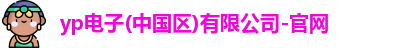 yp电子